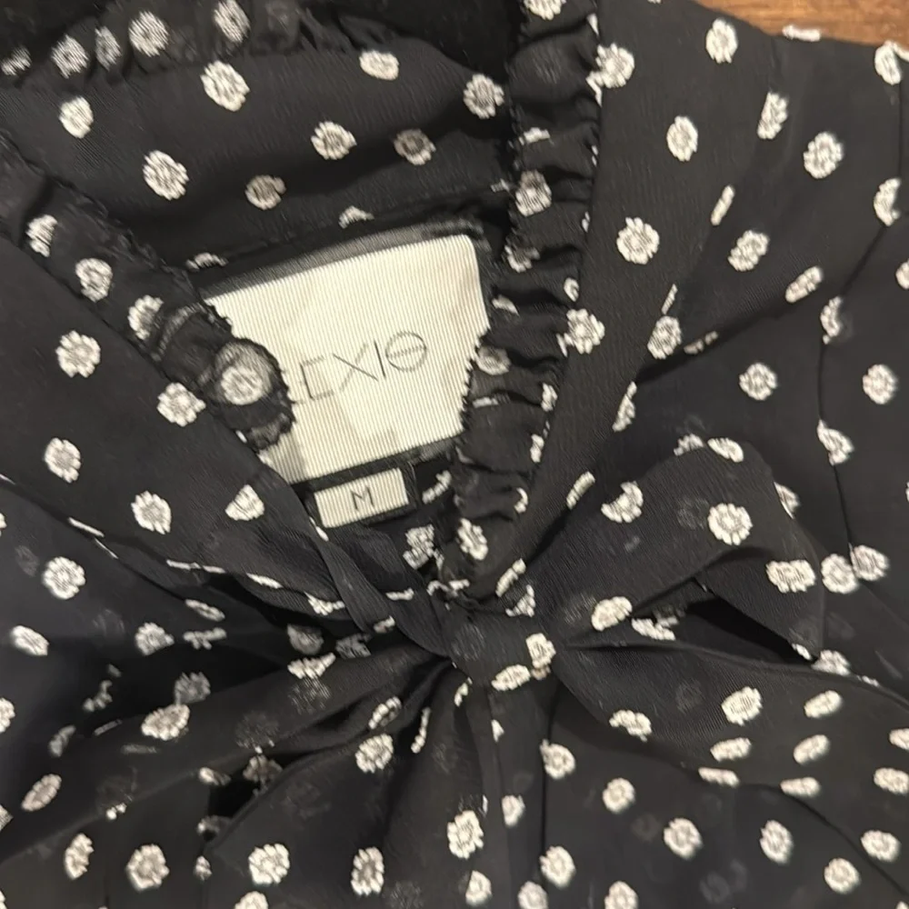 Alexis Polka Dot Dress - Picture 4 of 6